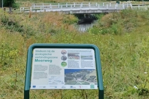 Informatiepanelen ecologische verbindingszone geplaatst bij Meerweg