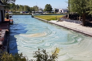 Informatiebijeenkomst over blauwalg