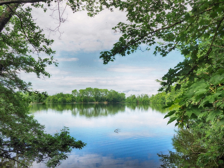 Doorkijkje door het groen met uitzicht op water.