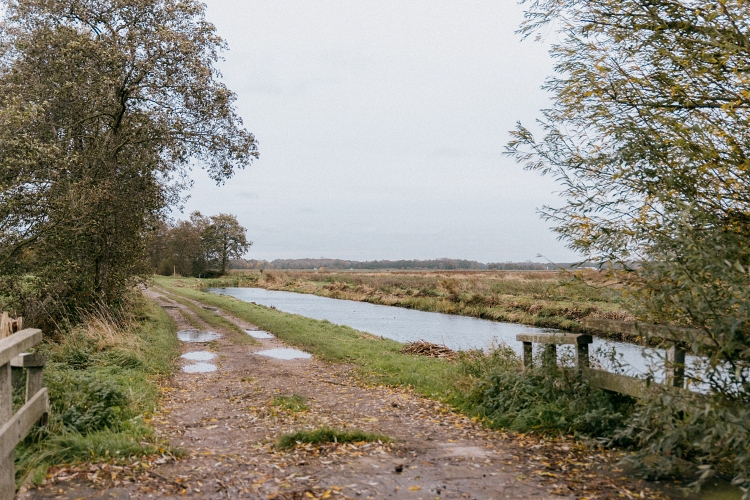 Landweg naast een sloot, met in de voorgrond een brug. Begroeiing aan beide kanten van de landweg.