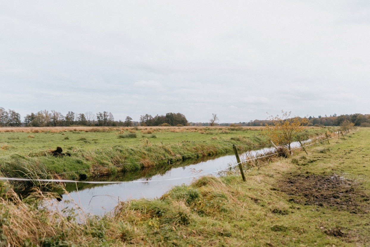Landschap