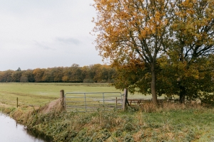 Volgende stappen in gebiedsproces POL