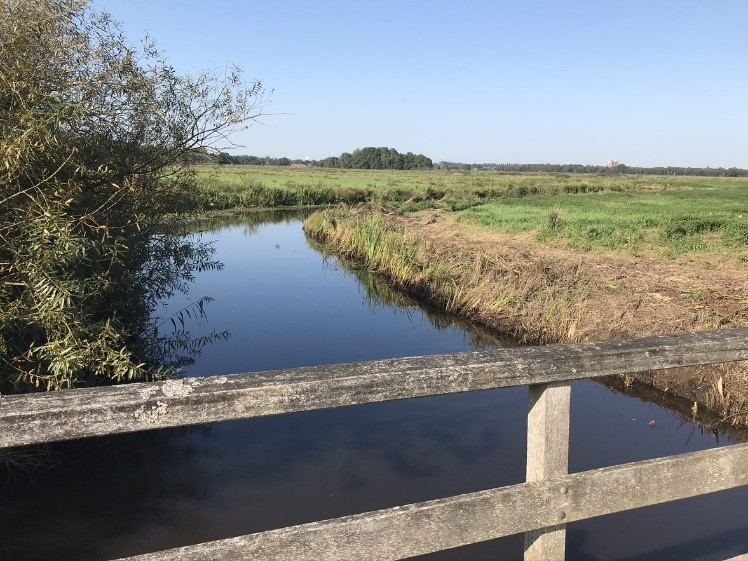 Sloot met graslanden aan beide zijden en een brugleuning in beeld