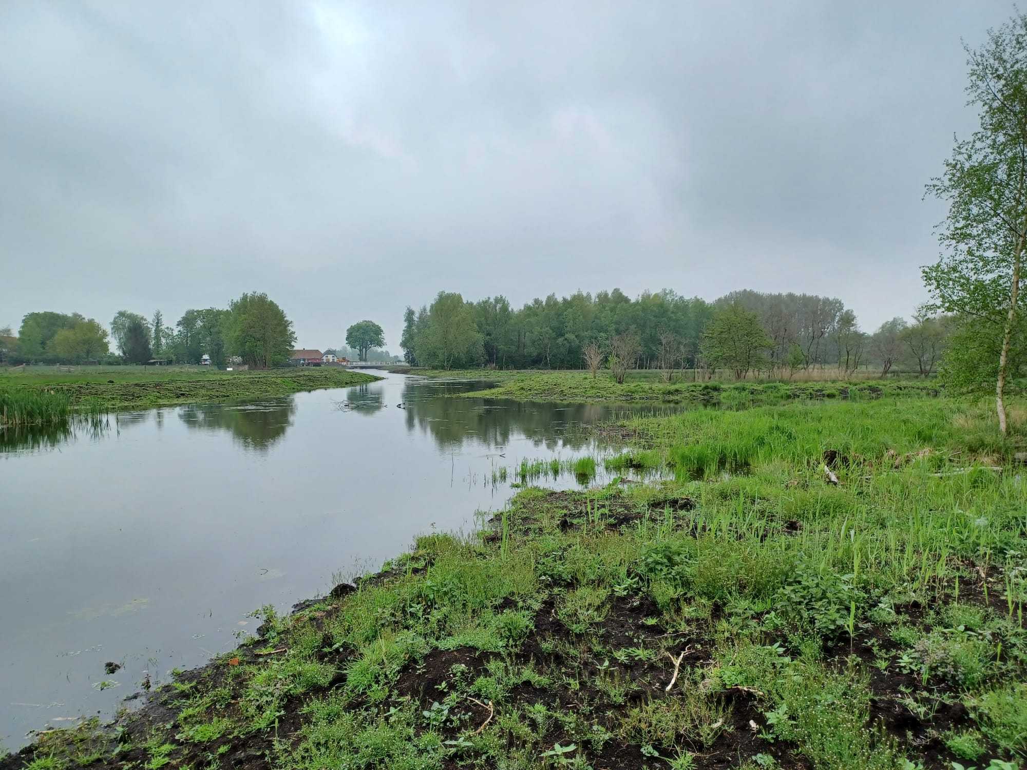 Water met nieuwe begroeiing langs de kade en bomen in de achtergrond