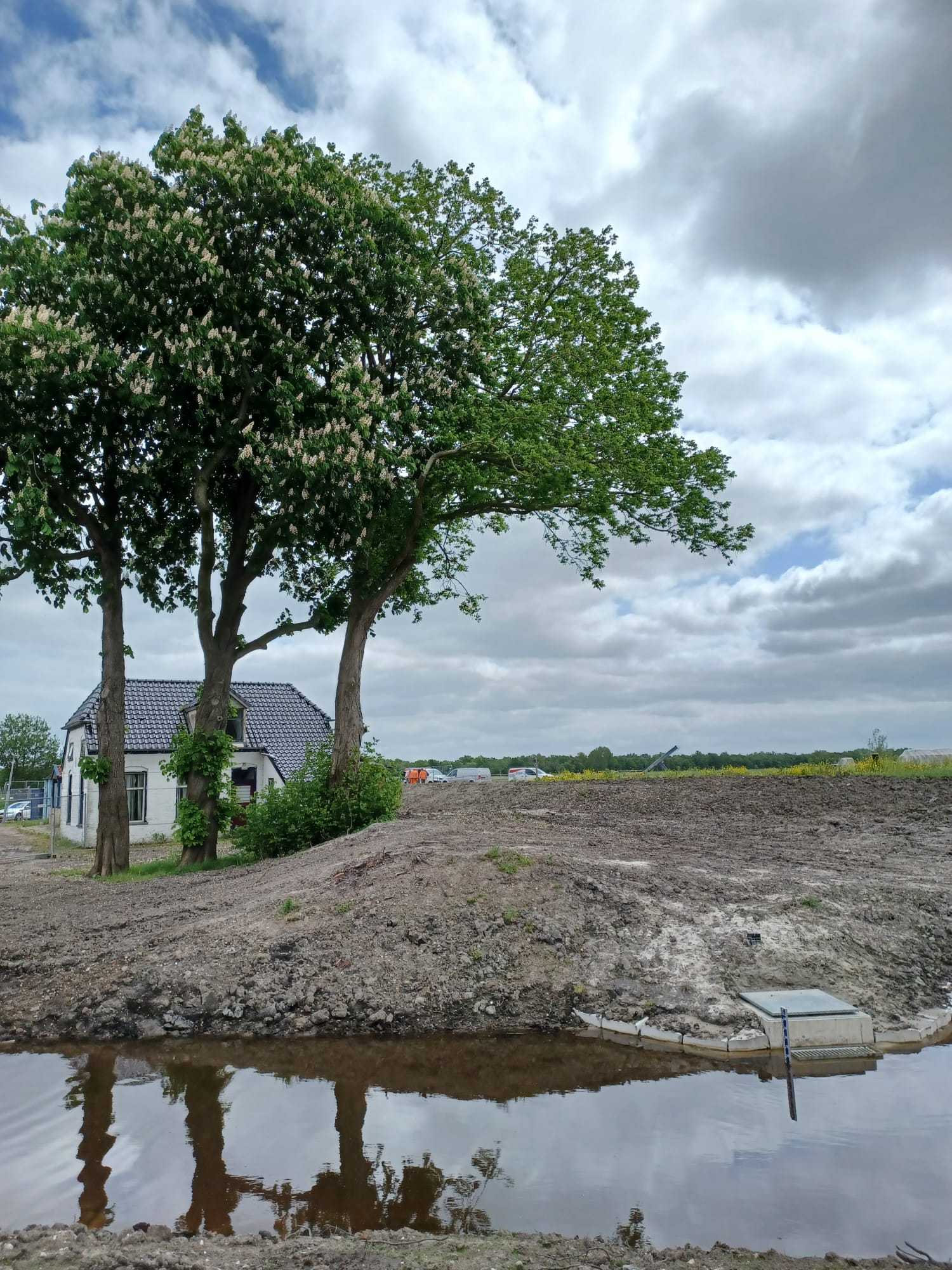 Langs de kade een witte bak, in de achtergrond een woning en drie bomen op een rij