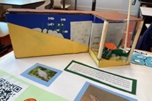 Welk vissenhotel verdient vijf sterren? Breng je stem uit!