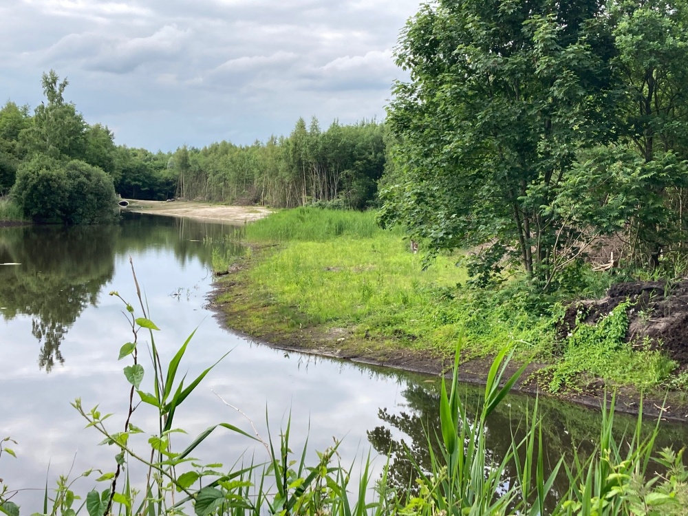 foto 3 Natuurvriendelijke oever nu low