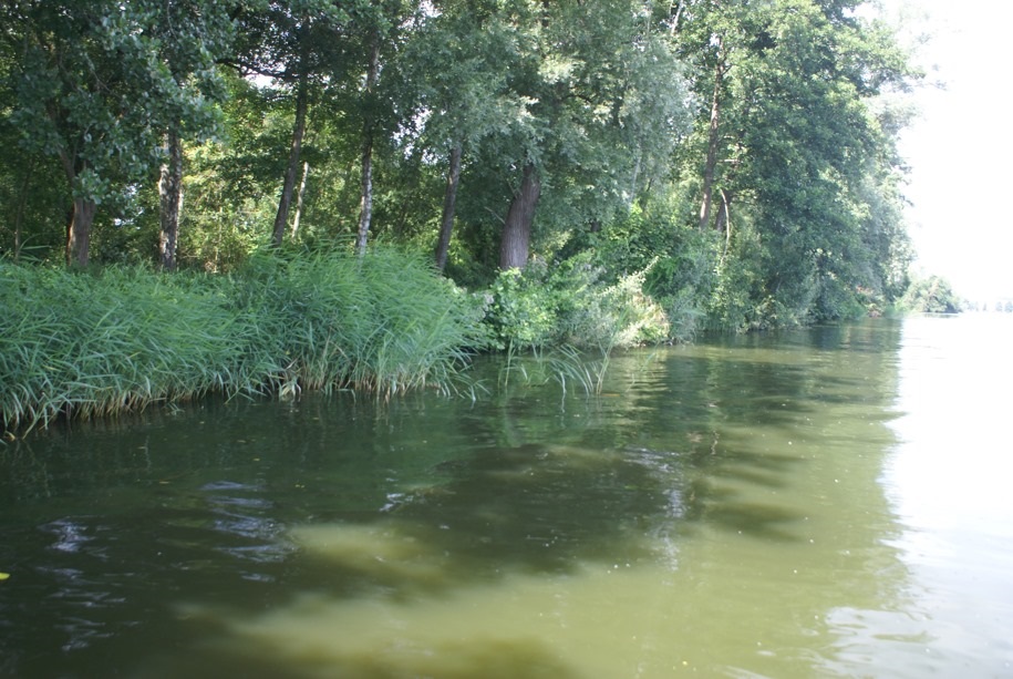 natuurvriendelijke oever1