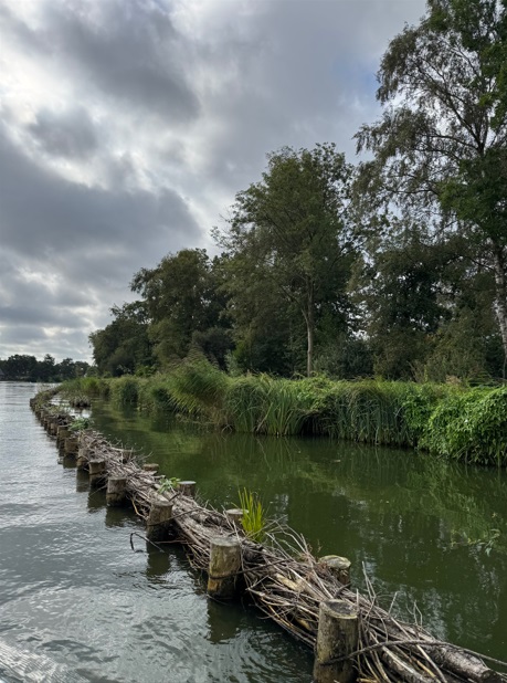 natuurvriendelijke oever2