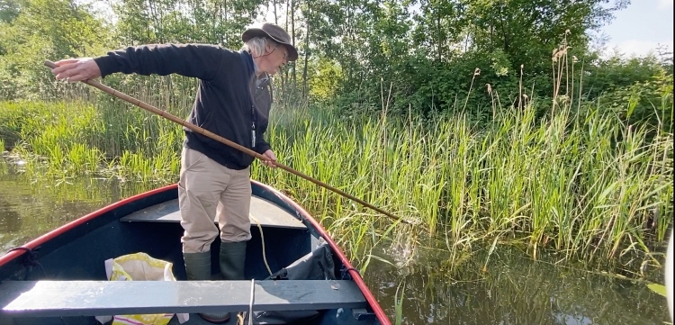 Man in een boot met een waterplant aan zijn stok.